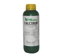 Calcibor